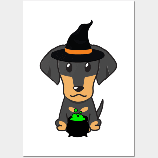 Cute dachshund dog is a witch Posters and Art